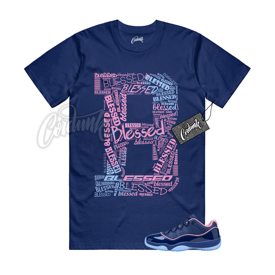 Jordan 11 Binary Blue APB B BLS
