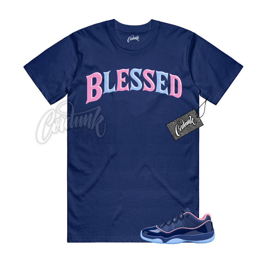 Jordan 11 Binary Blue APB BW BLS