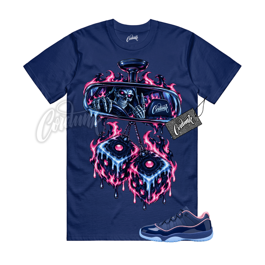 Jordan 11 Binary Blue APB DICE