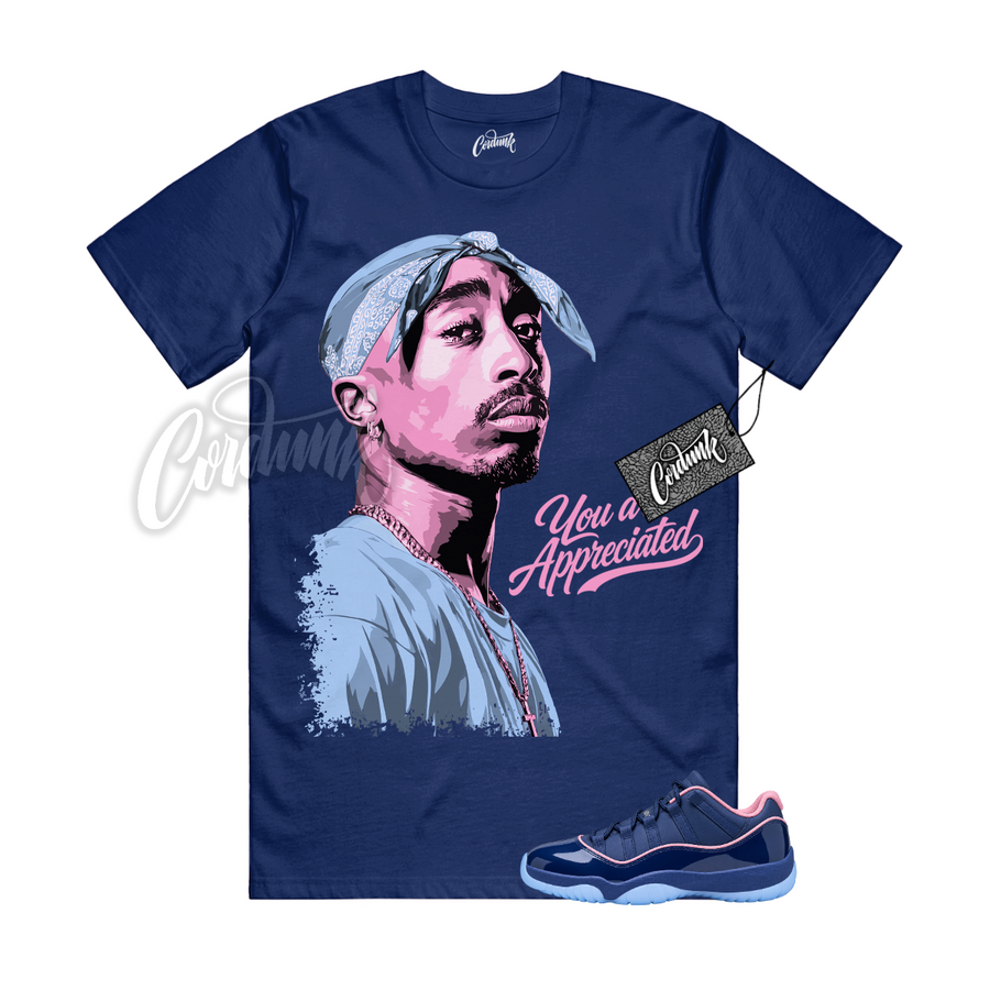 Jordan 11 Binary Blue APB PAC