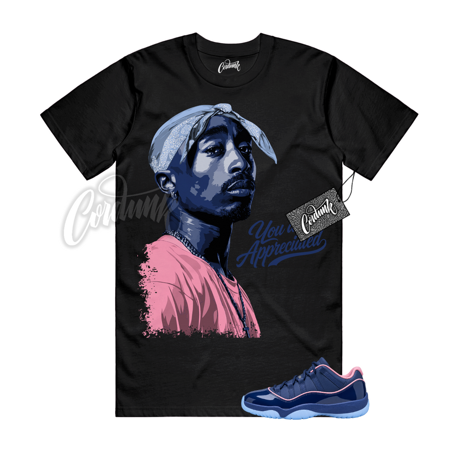 Jordan 11 Binary Blue APB PAC
