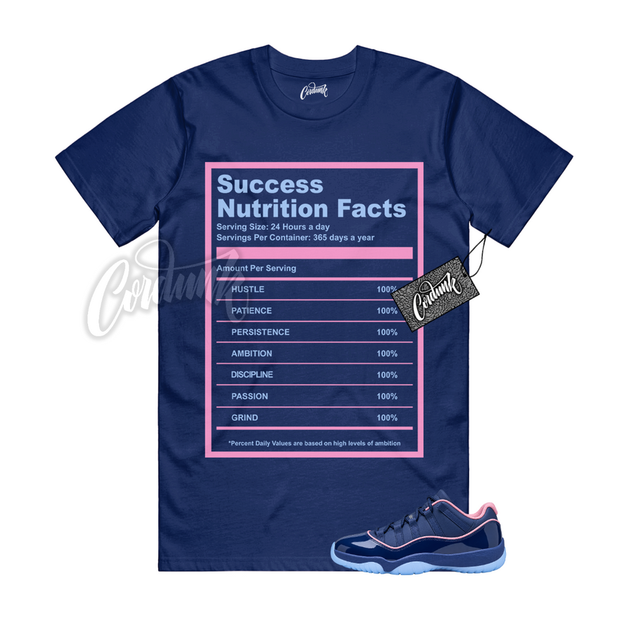 Jordan 11 Binary Blue APB SUCC