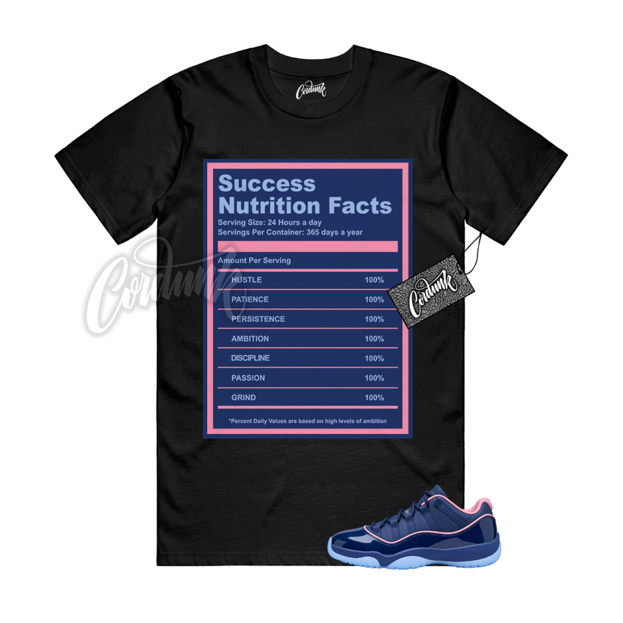 Jordan 11 Binary Blue APB SUCC