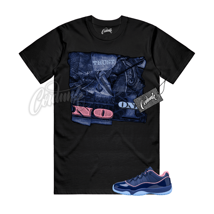 Jordan 11 Binary Blue APB TRUST