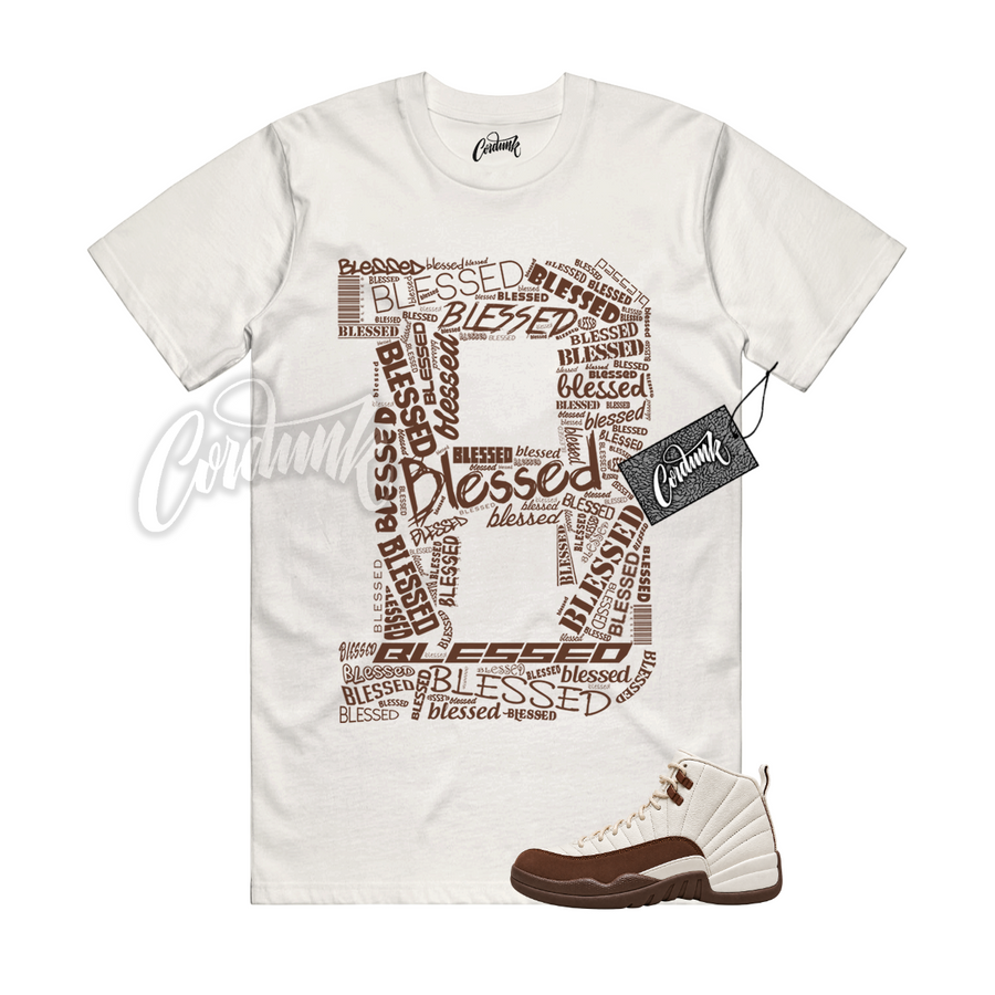 Jordan 12 Fireside B BLS