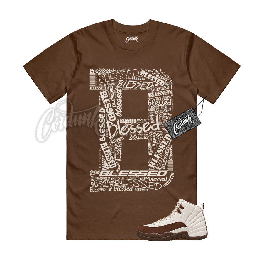 Jordan 12 Fireside B BLS
