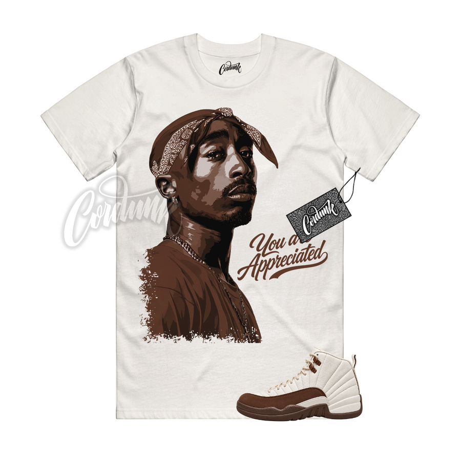 Jordan 12 Fireside PAC