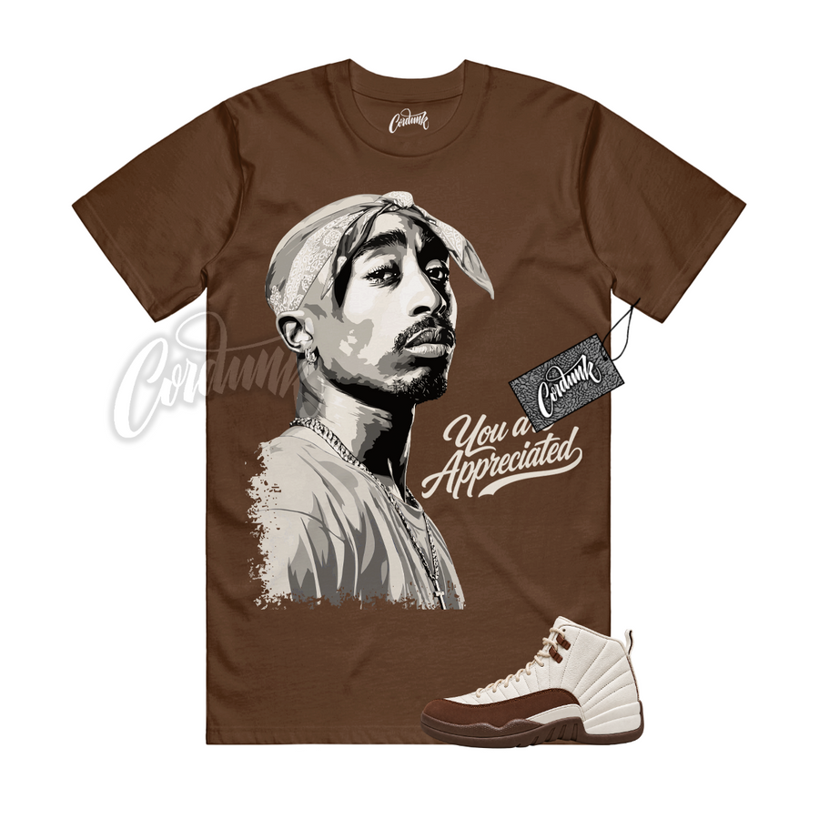 Jordan 12 Fireside PAC