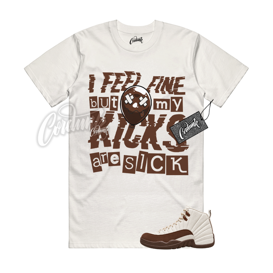 Jordan 12 Fireside SICK
