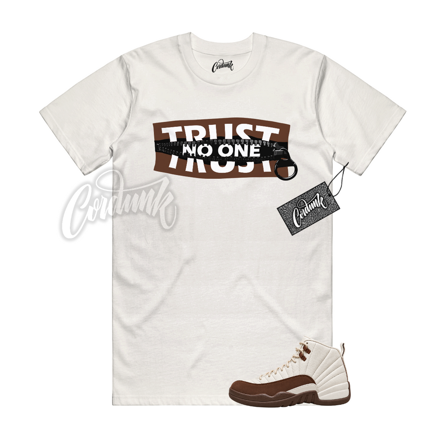 Jordan 12 Fireside TN1