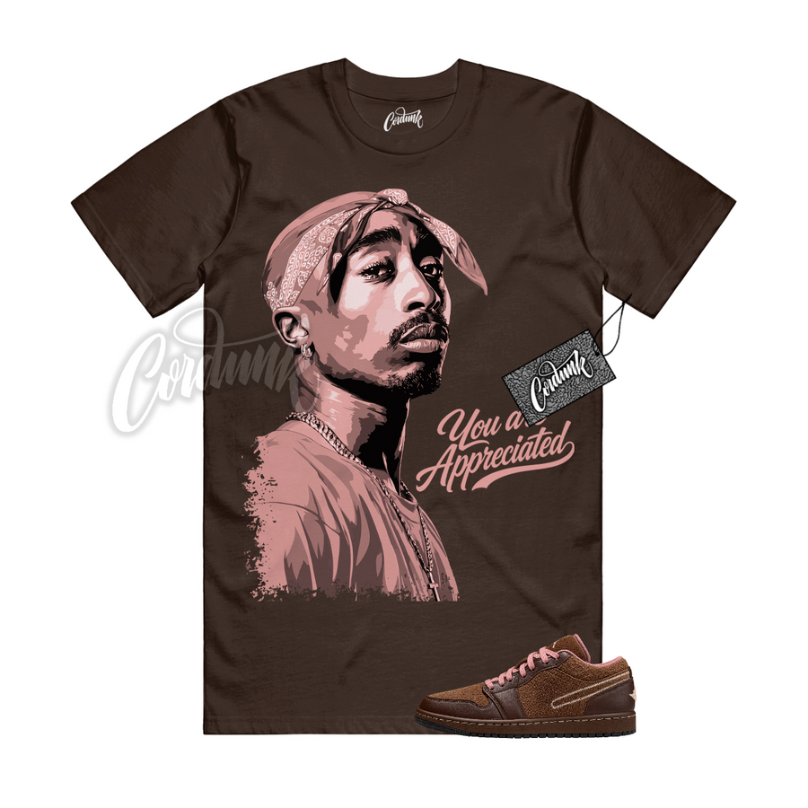 Jordan 1 Cacao Wow Matching Shirt
