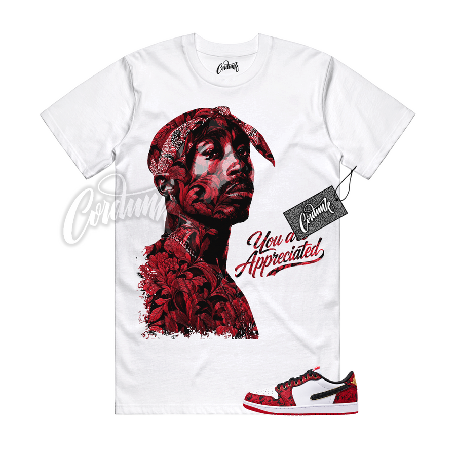 Jordan 1 Last Dance At The Garden PAC