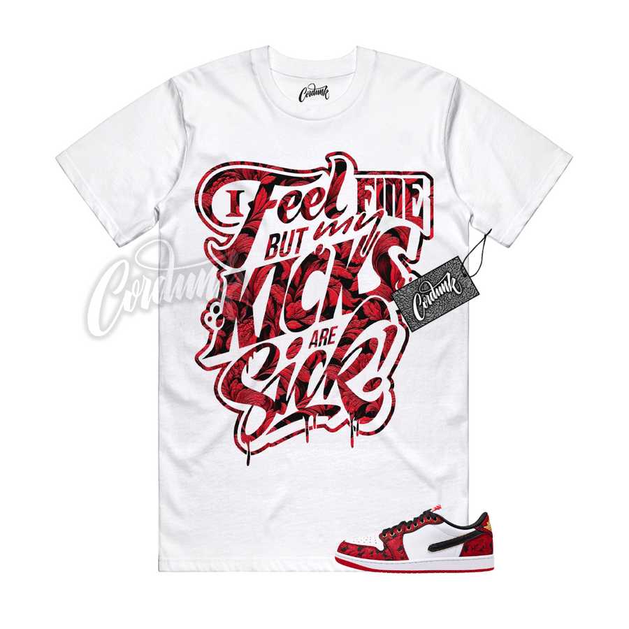 Jordan 1 Last Dance At The Garden SICK BIG