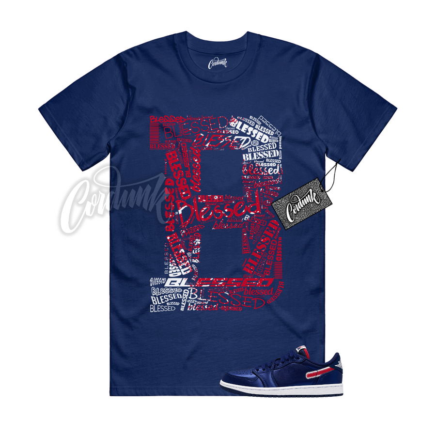 Jordan 1 Howard B BLS