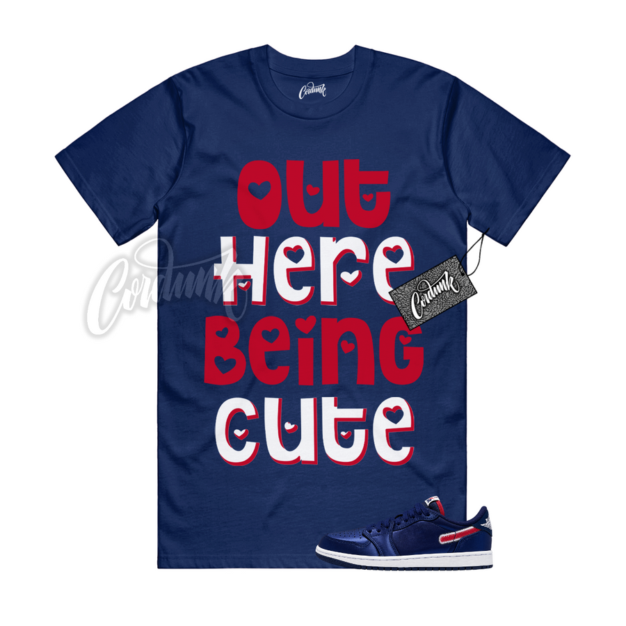 Jordan 1 Howard CUTE