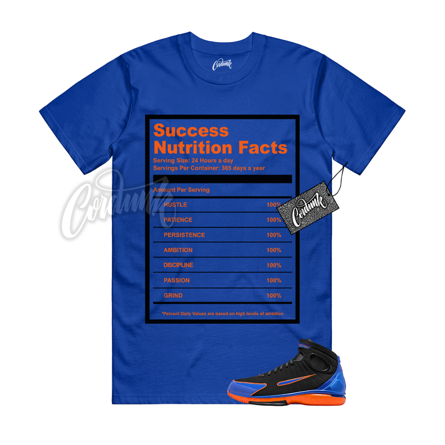 Huarache 2K4 Knicks SUCC
