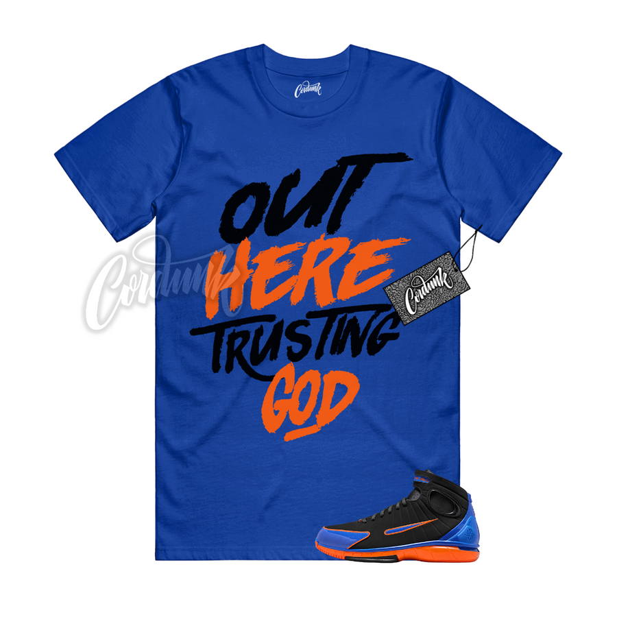 Huarache 2K4 Knicks TG