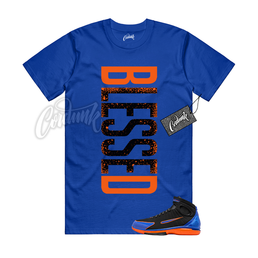 Huarache 2K4 Knicks VERTBLS