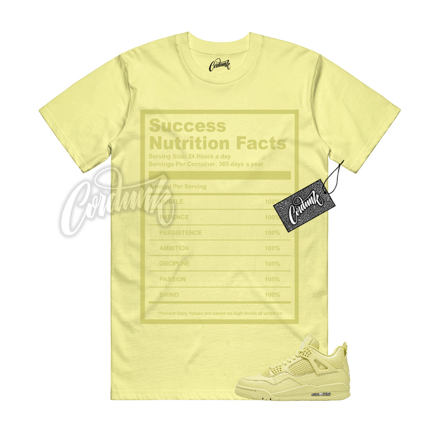 Jordan 4 Lemonade SUCC