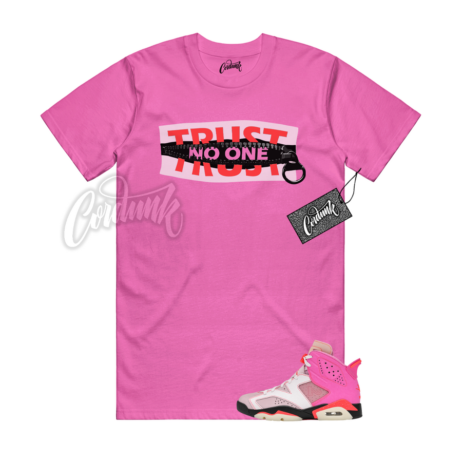 Jordan 6 Awake NY Playful Pink TN1