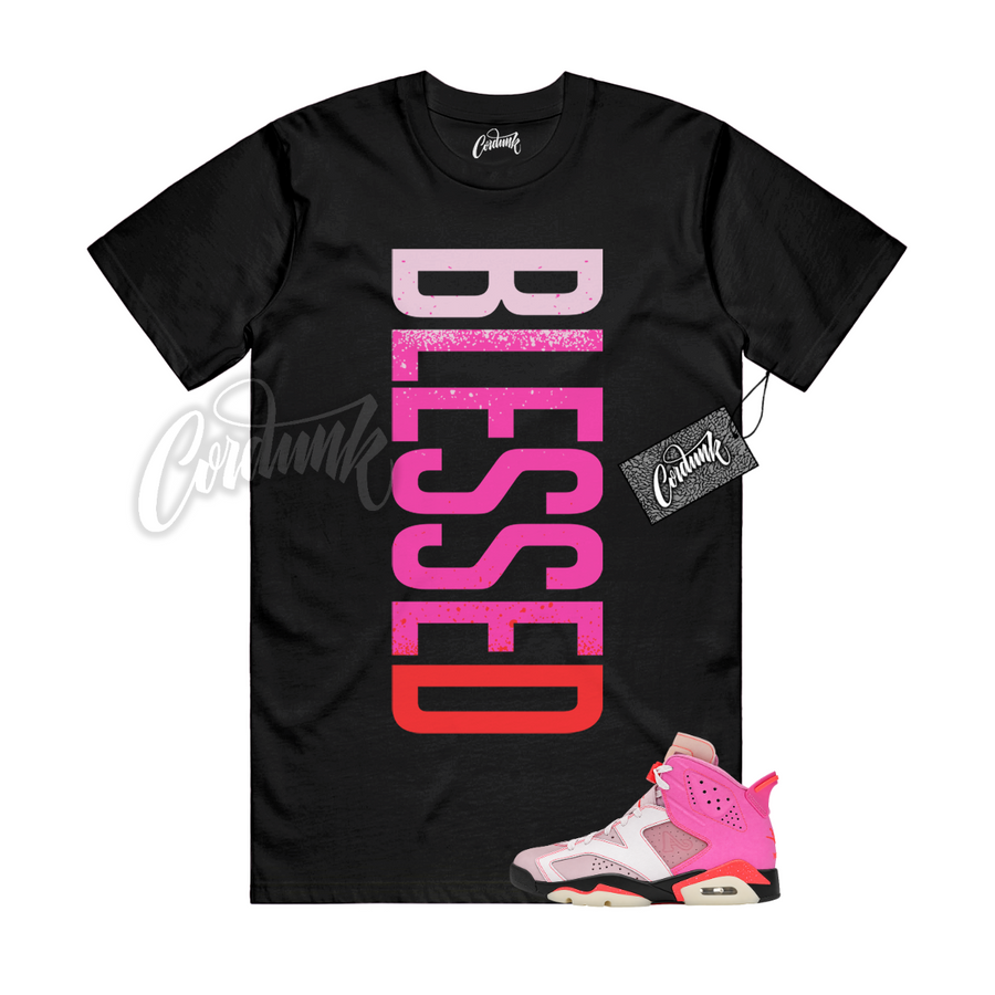 Jordan 6 Awake NY Playful Pink VERTBLS