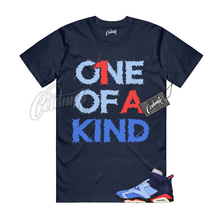 Jordan 6 Awake NY 1OAK