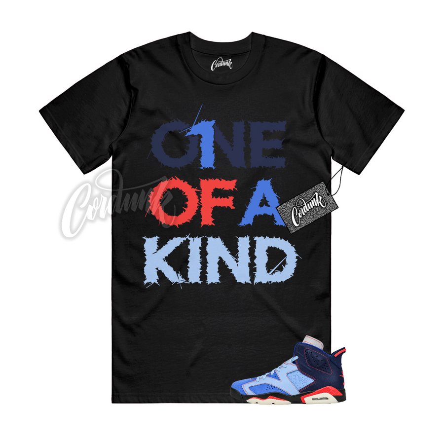Jordan 6 Awake NY 1OAK