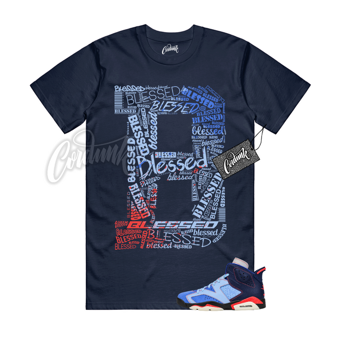 Jordan 6 Awake NY B BLS