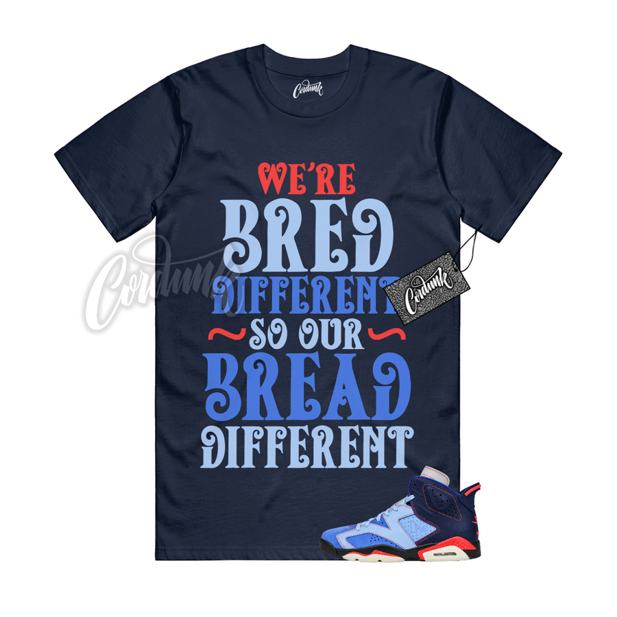 Jordan 6 Awake NY BREAD