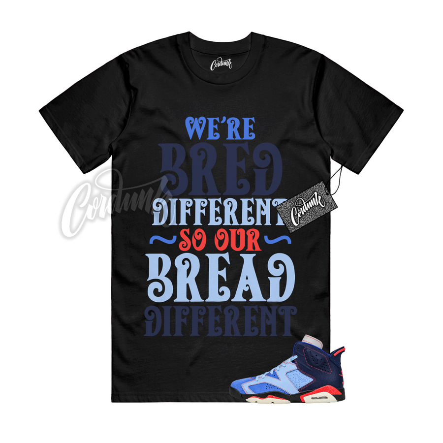 Jordan 6 Awake NY BREAD