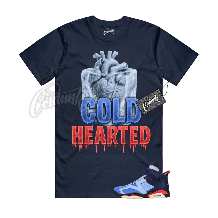 Jordan 6 Awake NY COLD