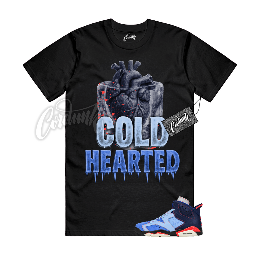 Jordan 6 Awake NY COLD