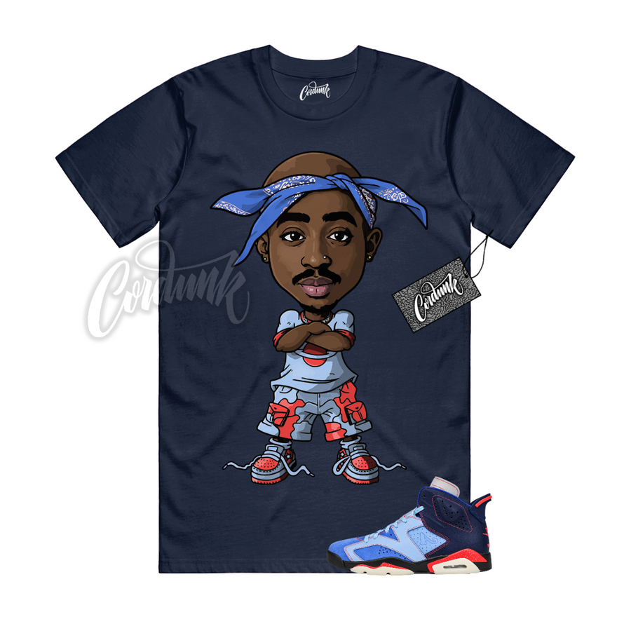 Jordan 6 Awake NY CP