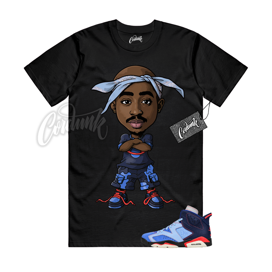 Jordan 6 Awake NY CP