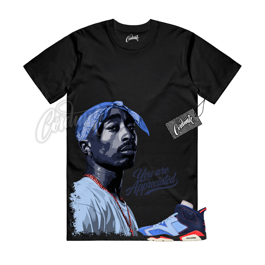 Jordan 6 Awake NY PAC