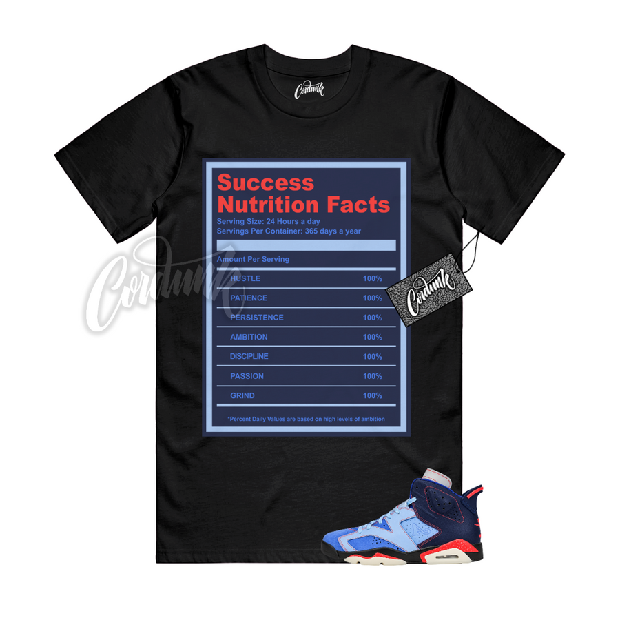 Jordan 6 Awake NY SUCC