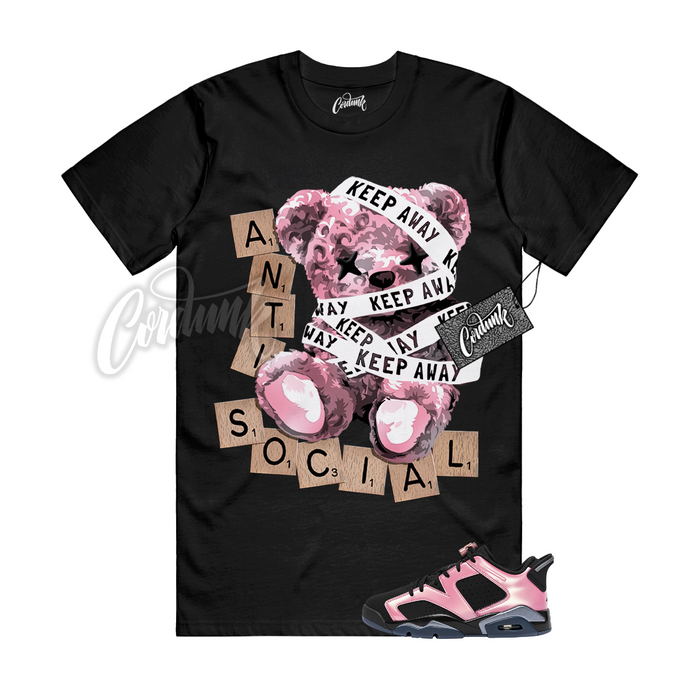 Jordan 6 Black Desert Berry ANTI