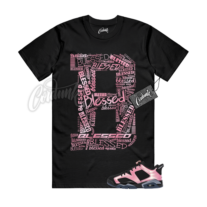 Jordan 6 Black Desert Berry B BLS