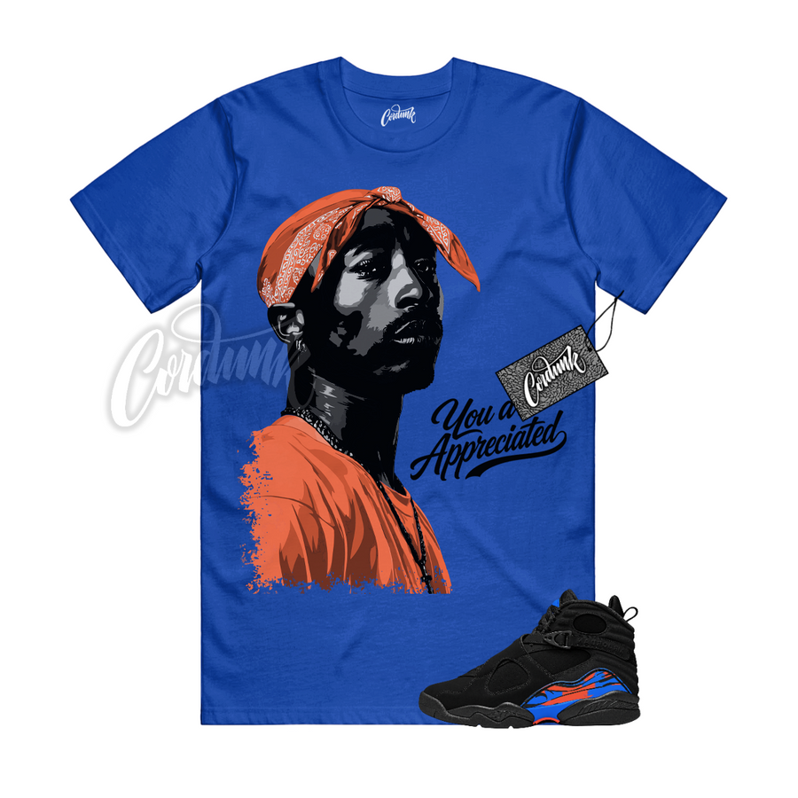 Jordan 8 Knicks PAC