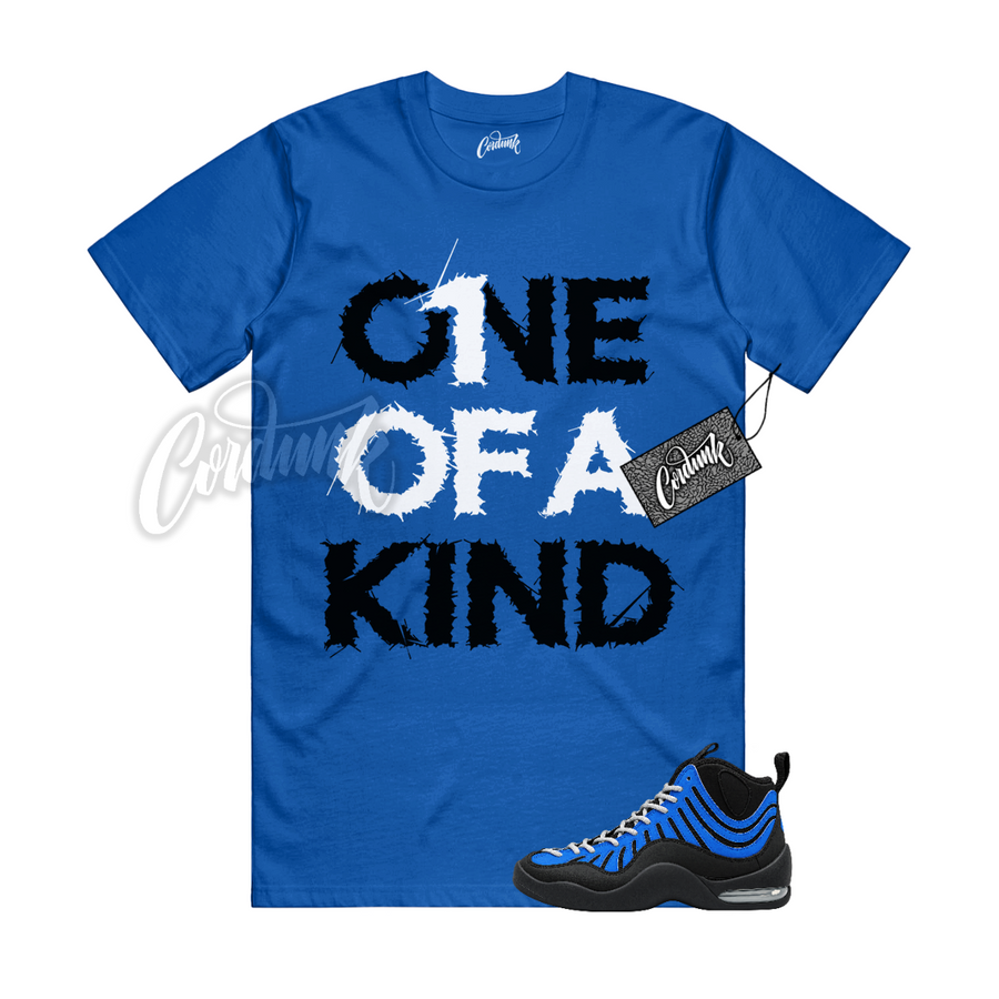 Nike Air Bakin Varsity Royal Matching Shirt