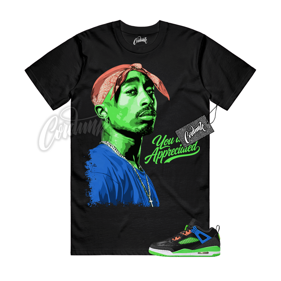 Jordan Spizike Space Jam Central PAC