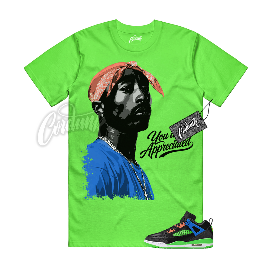 Jordan Spizike Space Jam Central PAC